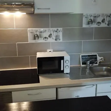 Apartment Beau Deux Pieces Avec Piscine Mandelieu